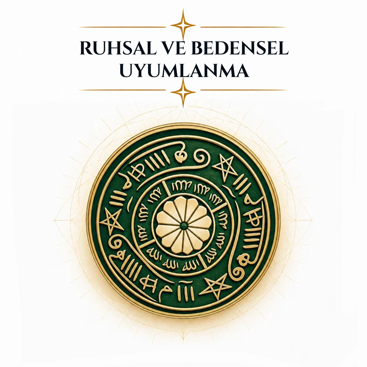 7 RUHUN BİLGELİĞİ İLE YENİLENME RUHSAL VE BEDENSEL UYUMLANMA