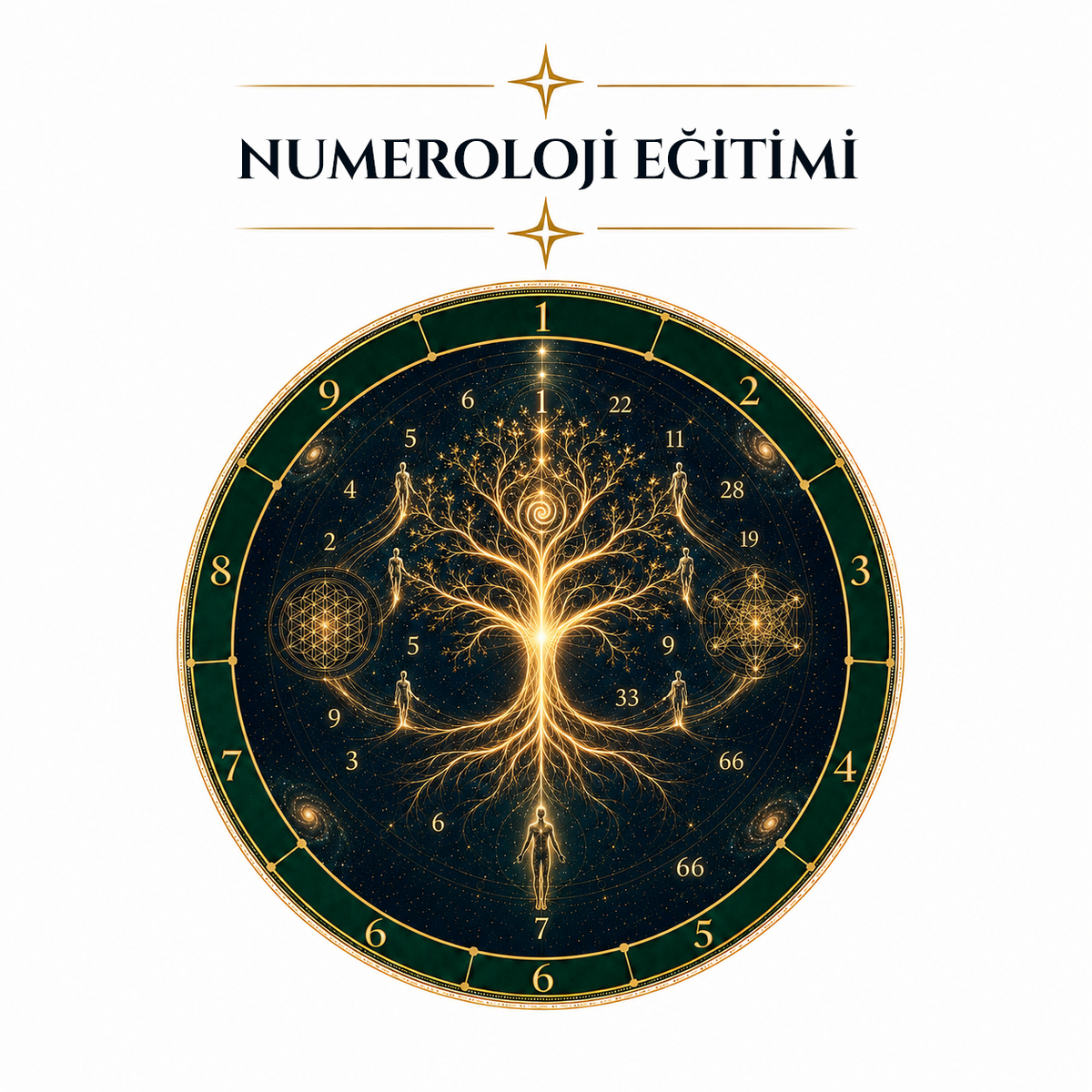 NUMEROLOJİ EĞİTİMİ
