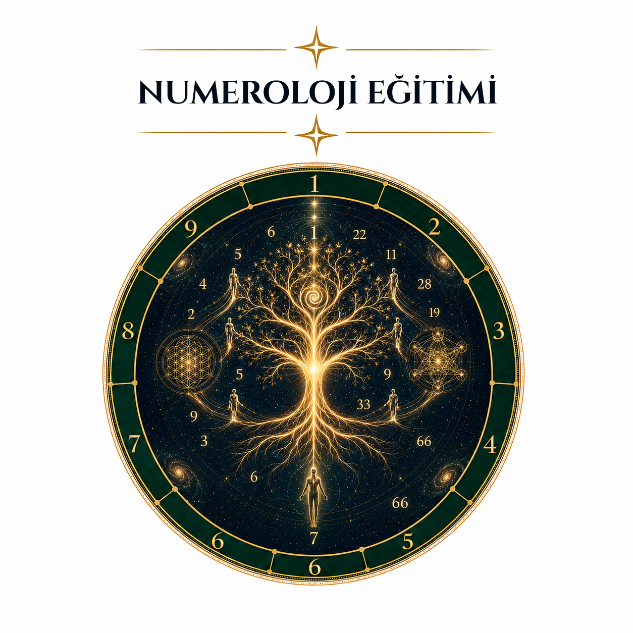 NUMEROLOJİ EĞİTİMİ